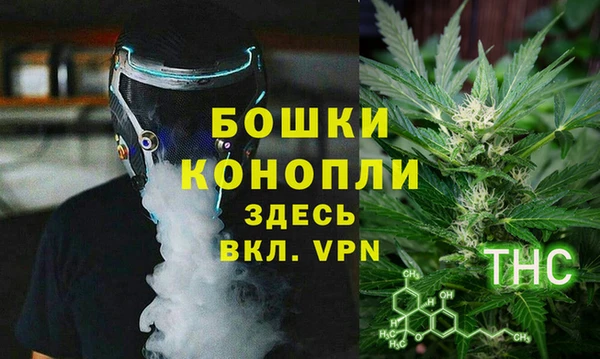 молекула духа Лихославль