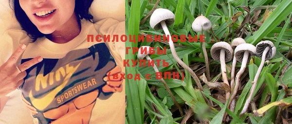 соль курить ск Липки