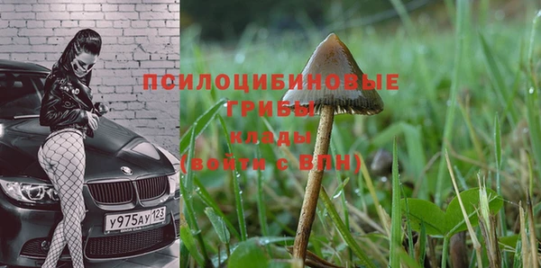 соль курить ск Липки