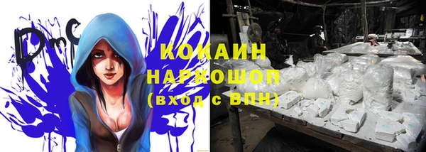 молекула духа Лихославль