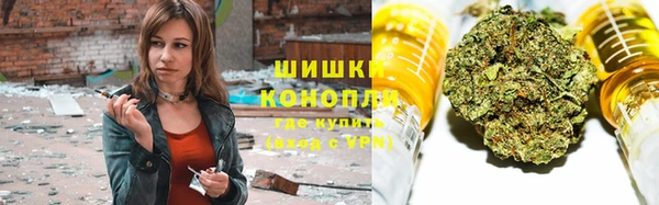 молекула духа Лихославль
