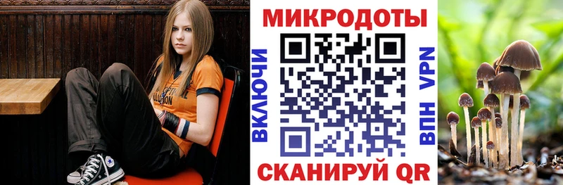 Купить  Нарьян-Мар  Псилоцибиновые грибы мицелий 