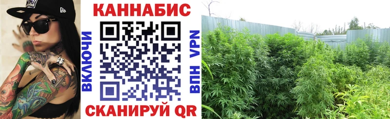 Купить  Нарьян-Мар  Каннабис White Widow 